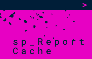 sp_ReportCache