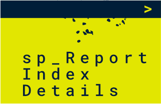 sp_ReportIndexDetails